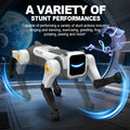 🤖 AI RC robot z glasovnim upravljanjem, petjem, plesom in akrobacijami