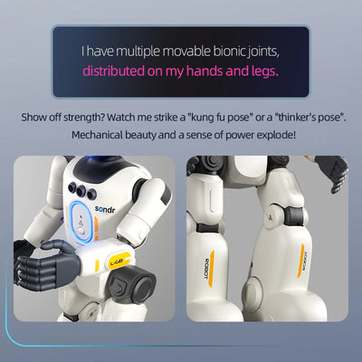 🤖 Pametni RC humanoidni robot z upravljanjem z gestami