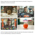 🤖 LOOI AI Robot z glasovnim upravljanjem in ChatGPT