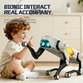🐶 Interaktivni robotski pes JJRC z aplikacijo 📱