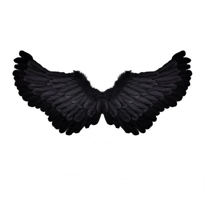 Črna angelska in demonska krila – črna krila