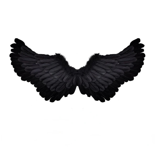 Črna angelska in demonska krila – črna krila