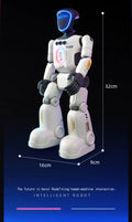 🤖 Pametni RC humanoidni robot z upravljanjem z gestami